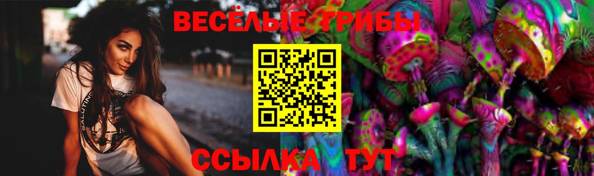 Волжск  Галлюциногенные грибы прущие грибы  Вход с VPN 